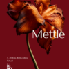 Mettle: A 30-Day Rebuilding Ritual (Digital Download)